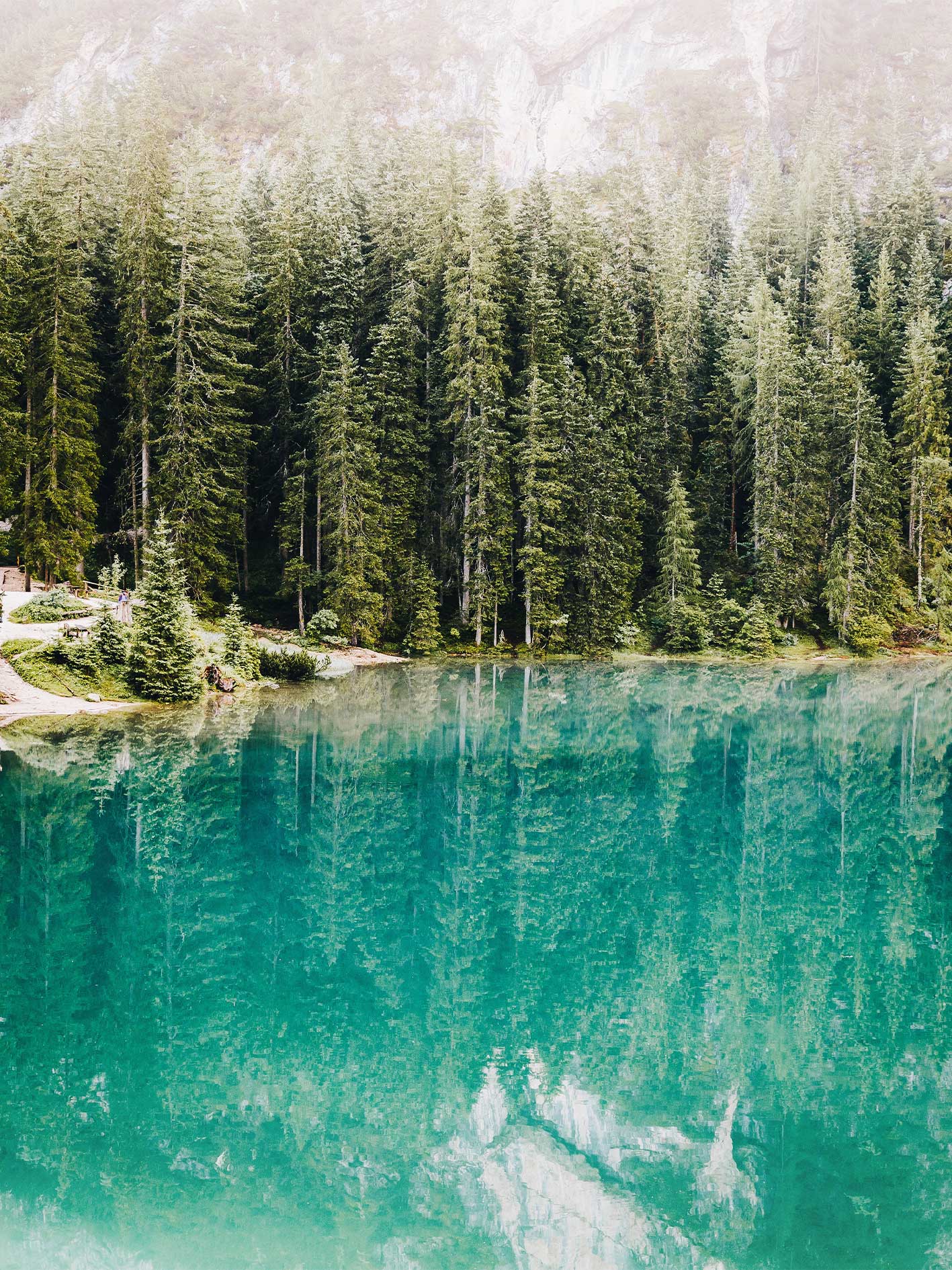 How-lockdown-influencer-content-drove-2700-Adobe-sign-ups