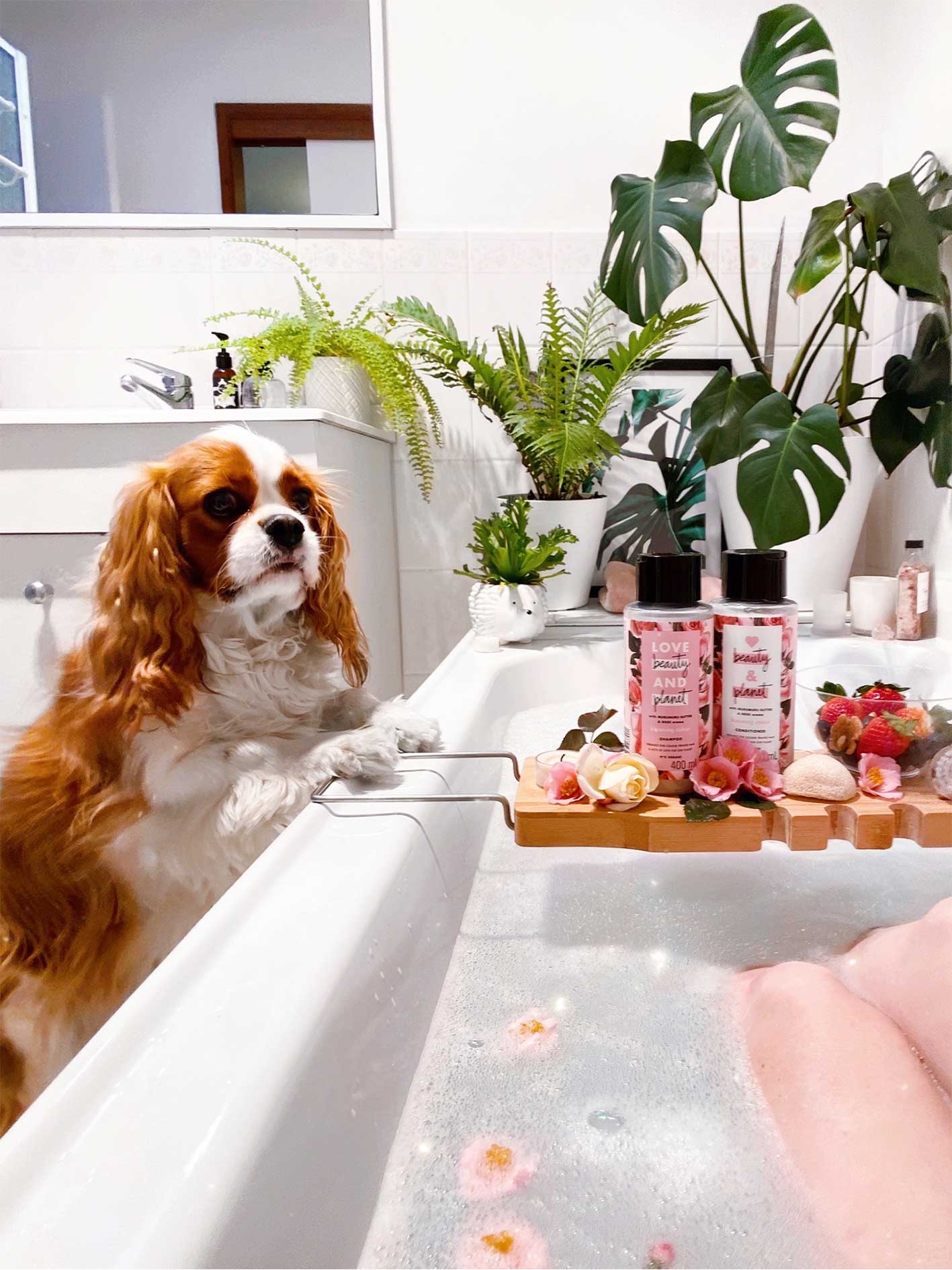 Spreading-awareness-for-Unilevers-recycled-plastics