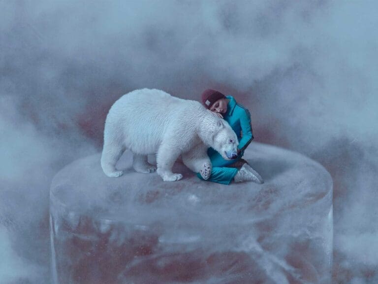 How a global campaign for Shutterstock drove a 8.6x ROAS