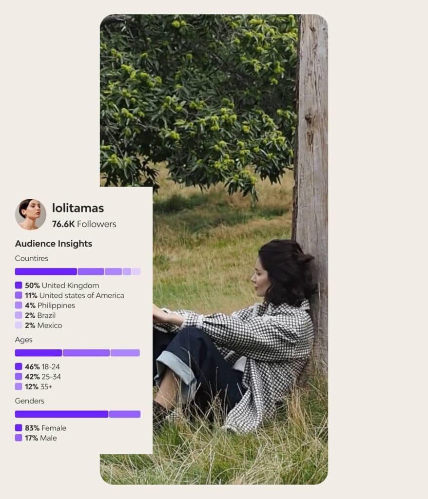 vamp-meta-audience-insights